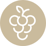 Domaine Wiehlé Alsace Gewurztraminer 