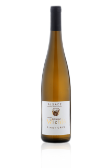 Alsace Pinot Gris 