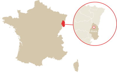 Alsace Alsace Pinot Noir