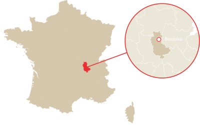 Beaujolais Les Burdelines